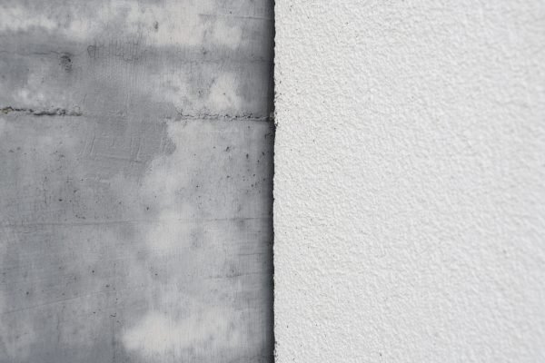 isskirtiniu-sienu-detalizacijos